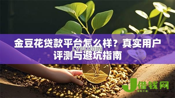 金豆花贷款平台怎么样?真实用户评测与避坑指南 金豆花贷款平台怎么样?真实用户评测与避坑指南