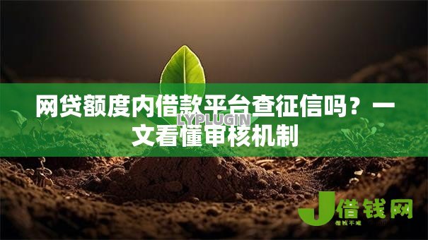网贷额度内借款平台查征信吗?一文看懂审核机制 网贷额度内借款平台查征信吗?一文看懂审核机制