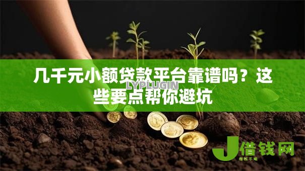 几千元小额贷款平台靠谱吗?这些要点帮你避坑 几千元小额贷款平台靠谱吗?这些要点帮你避坑