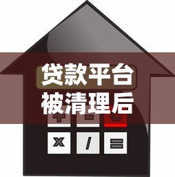 贷款平台被清理后借款人应对指南 贷款平台被清理后借款人应对指南
