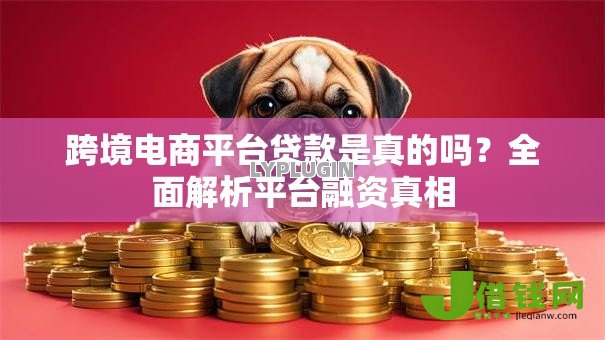 跨境电商平台贷款是真的吗？全面解析平台融资真相