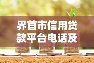 界首市信用贷款平台电话及办理攻略 界首市信用贷款平台电话及办理攻略