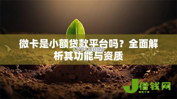 微卡是小额贷款平台吗？全面解析其功能与资质