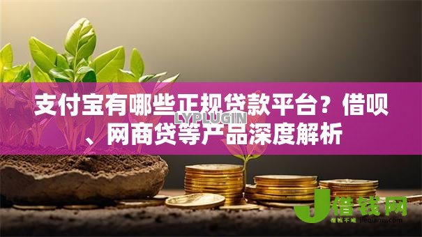 支付宝有哪些正规贷款平台？借呗、网商贷等产品深度解析