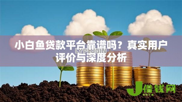 小白鱼贷款平台靠谱吗?真实用户评价与深度分析 小白鱼贷款平台靠谱吗?真实用户评价与深度分析