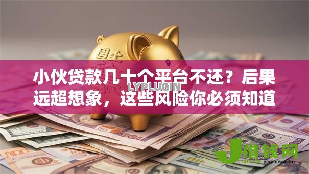小伙贷款几十个平台不还？后果远超想象，这些风险你必须知道！