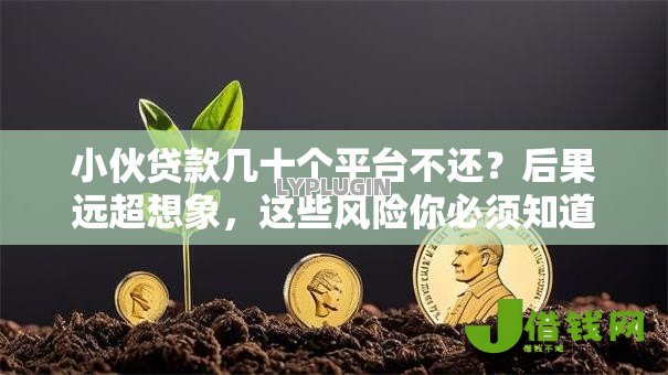 小伙贷款几十个平台不还？后果远超想象，这些风险你必须知道！