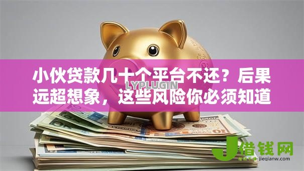 小伙贷款几十个平台不还？后果远超想象，这些风险你必须知道！