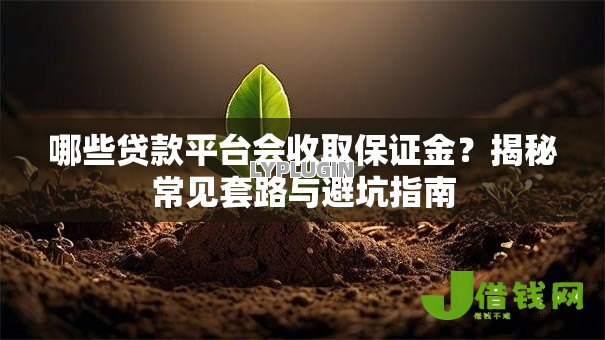 哪些贷款平台会收取保证金?揭秘常见套路与避坑指南 哪些贷款平台会收取保证金?揭秘常见套路与避坑指南