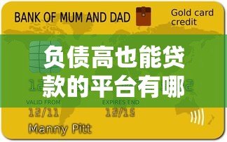 负债高也能贷款的平台有哪些?5个应急方案+避坑指南 负债高也能贷款的平台有哪些?5个应急方案+避坑指南