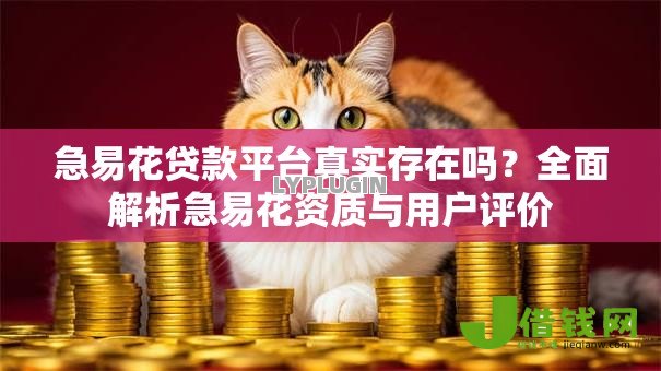 急易花贷款平台真实存在吗？全面解析急易花资质与用户评价