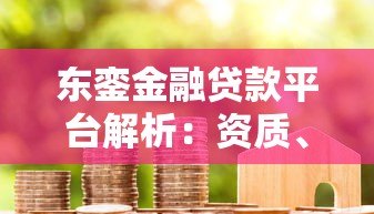 东銮金融贷款平台解析:资质、产品与用户评价 东銮金融贷款平台解析:资质、产品与用户评价