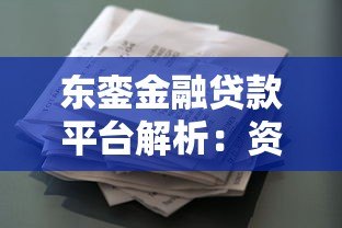 东銮金融贷款平台解析:资质、产品与用户评价 东銮金融贷款平台解析:资质、产品与用户评价