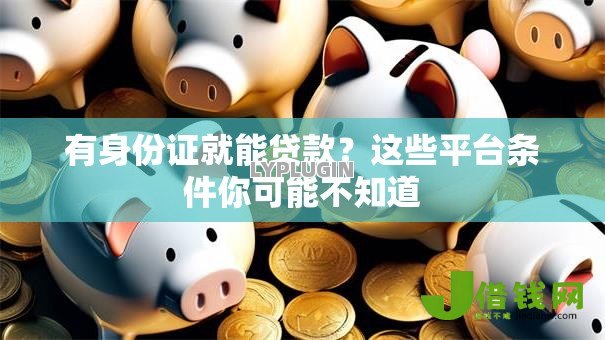 有身份证就能贷款？这些平台条件你可能不知道
