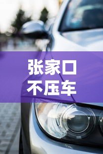 张家口不压车贷款平台推荐:正规渠道+免押车服务解析 张家口不压车贷款平台推荐:正规渠道+免押车服务解析