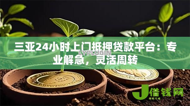 三亚24小时上门抵押贷款平台:专业解急,灵活周转 三亚24小时上门抵押贷款平台:专业解急,灵活周转