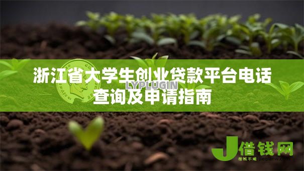 浙江省大学生创业贷款平台电话查询及申请指南
