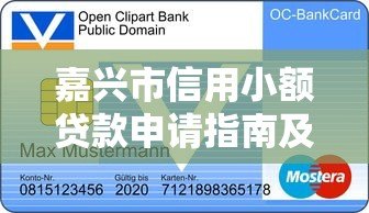 嘉兴市信用小额贷款申请指南及平台推荐