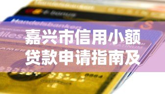 嘉兴市信用小额贷款申请指南及平台推荐