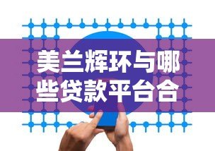 美兰辉环与哪些贷款平台合作?真实关联解析与避坑指南 美兰辉环与哪些贷款平台合作?真实关联解析与避坑指南