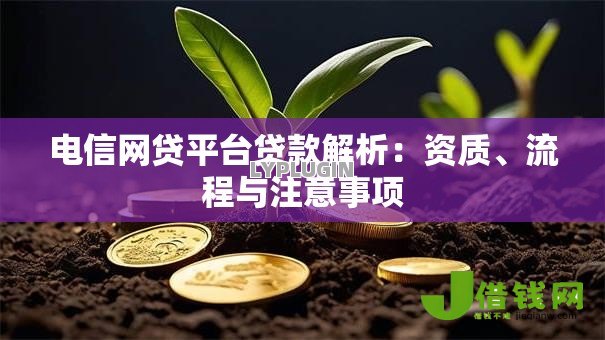 电信网贷平台贷款解析:资质、流程与注意事项 电信网贷平台贷款解析:资质、流程与注意事项