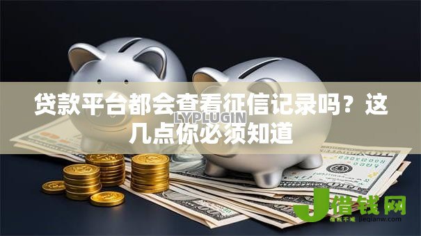 贷款平台都会查看征信记录吗?这几点你必须知道 贷款平台都会查看征信记录吗?这几点你必须知道