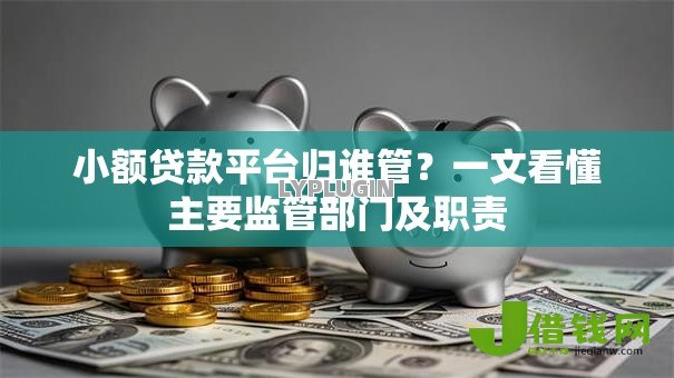 小额贷款平台归谁管?一文看懂主要监管部门及职责 小额贷款平台归谁管?一文看懂主要监管部门及职责