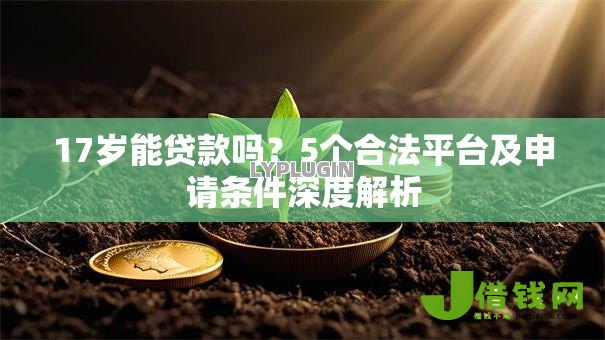 17岁能贷款吗?5个合法平台及申请条件深度解析 17岁能贷款吗?5个合法平台及申请条件深度解析