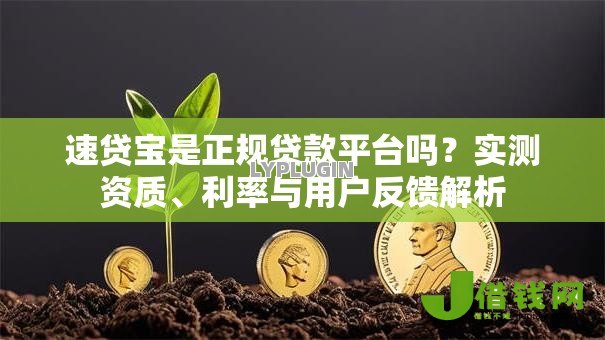速贷宝是正规贷款平台吗？实测资质、利率与用户反馈解析