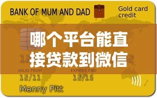 哪个平台能直接贷款到微信?精选5大正规渠道推荐 哪个平台能直接贷款到微信?精选5大正规渠道推荐