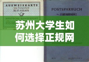 苏州大学生如何选择正规网络贷款平台?五大避坑指南与推荐 苏州大学生如何选择正规网络贷款平台?五大避坑指南与推荐