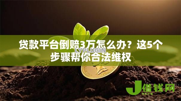 贷款平台倒赔3万怎么办?这5个步骤帮你合法维权 贷款平台倒赔3万怎么办?这5个步骤帮你合法维权
