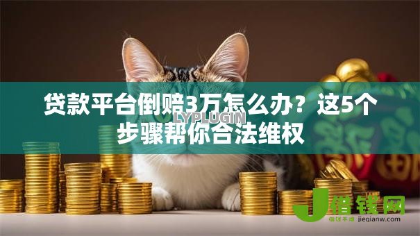 贷款平台倒赔3万怎么办?这5个步骤帮你合法维权 贷款平台倒赔3万怎么办?这5个步骤帮你合法维权