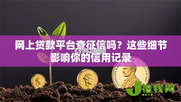 网上贷款平台查征信吗？这些细节影响你的信用记录
