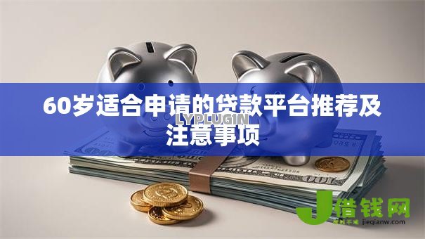 60岁适合申请的贷款平台推荐及注意事项