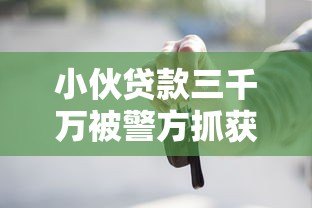 小伙贷款三千万被警方抓获 平台贷款背后的法律风险解析