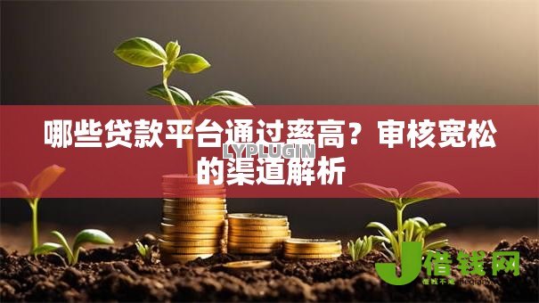 哪些贷款平台通过率高?审核宽松的渠道解析 哪些贷款平台通过率高?审核宽松的渠道解析
