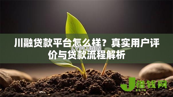 川融贷款平台怎么样?真实用户评价与贷款流程解析 川融贷款平台怎么样?真实用户评价与贷款流程解析