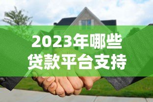 2023年哪些贷款平台支持先息后本还款方式? 2023年哪些贷款平台支持先息后本还款方式?
