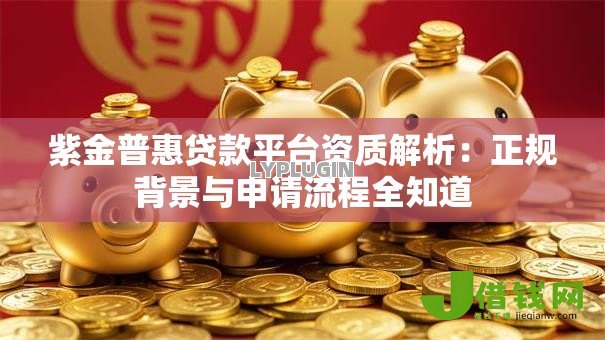 紫金普惠贷款平台资质解析：正规背景与申请流程全知道