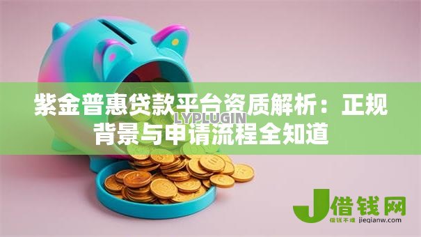 紫金普惠贷款平台资质解析：正规背景与申请流程全知道