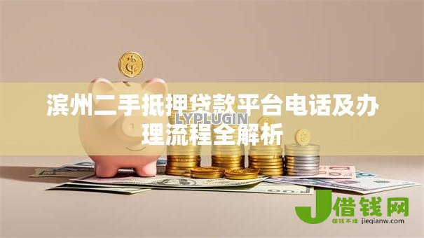 滨州二手抵押贷款平台电话及办理流程全解析