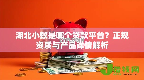 湖北小蚁是哪个贷款平台?正规资质与产品详情解析 湖北小蚁是哪个贷款平台?正规资质与产品详情解析