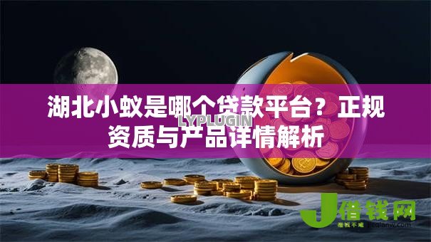 湖北小蚁是哪个贷款平台?正规资质与产品详情解析 湖北小蚁是哪个贷款平台?正规资质与产品详情解析