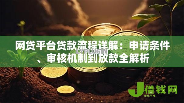 网贷平台贷款流程详解：申请条件、审核机制到放款全解析