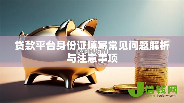 贷款平台身份证填写常见问题解析与注意事项