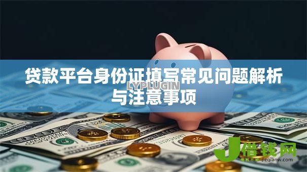 贷款平台身份证填写常见问题解析与注意事项