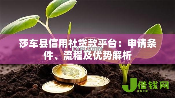 莎车县信用社贷款平台:申请条件、流程及优势解析 莎车县信用社贷款平台:申请条件、流程及优势解析