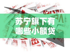 苏宁旗下有哪些小额贷款平台?全面解析产品特点及申请攻略 苏宁旗下有哪些小额贷款平台?全面解析产品特点及申请攻略