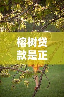榕树贷款是正规平台吗?官方电话及使用注意事项解析 榕树贷款是正规平台吗?官方电话及使用注意事项解析